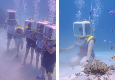 オーシャンウォークプラン